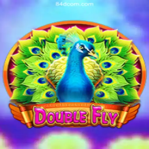 Explore the Thrilling World of DoubleFly: A Quick-Payout Cassino Adventure